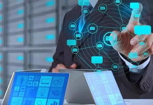 河北互聯網政務服務發展成效顯著，權威數據透視創新與惠民成果